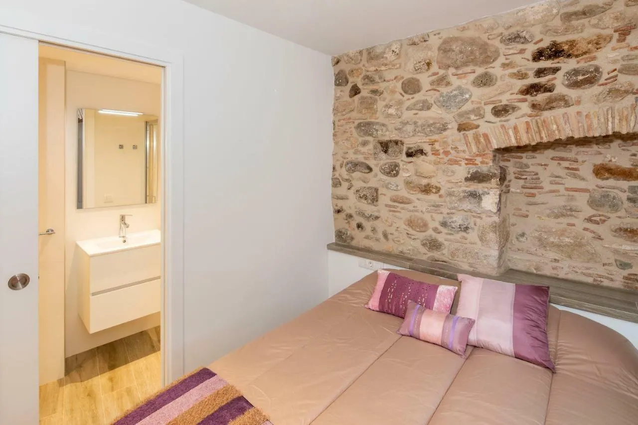 Apartamento Historico En El Barri Vell Girona Apartment