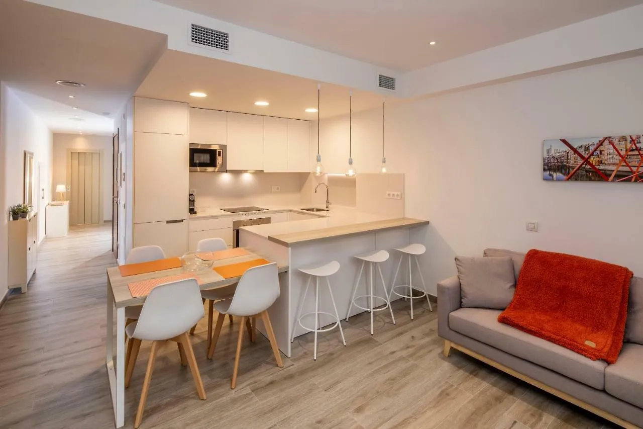 Apartamento Historico En El Barri Vell Girona Apartment Spain